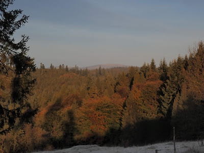 grzyby 2019, grzyby w październiku, grzyby na Orawie, mleczaje, podgrzybki, muchomory, grzyby po przymrozkach