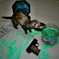 cute funny ferret spilled bb air soft pellets green Colt mini zombie hunter