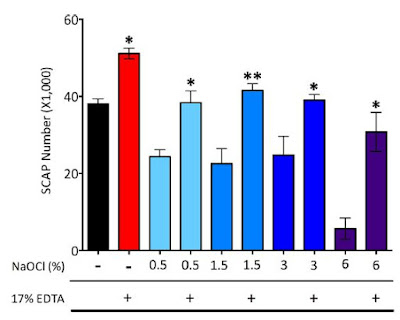 study on scap cells