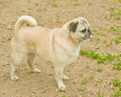 DSC_3055_unmarked[1]