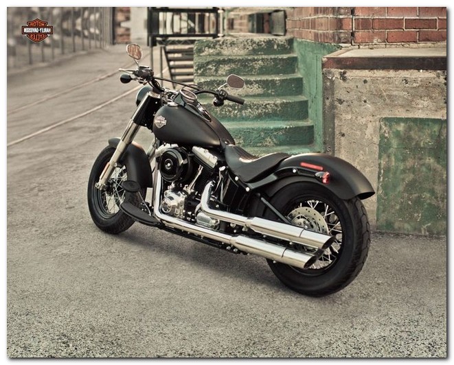 Used Saddlebags For Harley Davidson