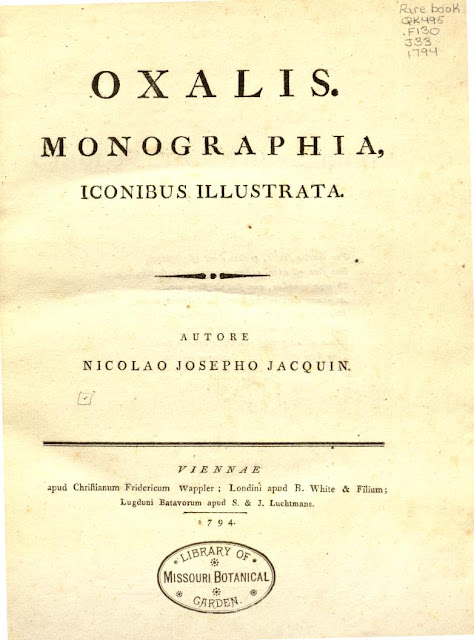 Описание вида Oxalis dillenii в работе "Oxalis. Monographia, Iconibus Illustrata", 1794 год, стр. 28), выполненное Николаусом Жаке́ном