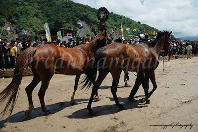 Pacu Kudo (Pacu Kuda) Padang Panjang