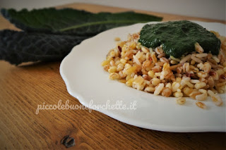 cavolo nero per bambini