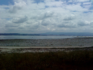 by E.V.Pita... Galician Beaches: Island of Vilanova de Arousa (Galicia, Spain) / por E.V.Pita... Isla de Arousa en Rías Baixas / por E.V.Pita... A Illa, na ría de Arousa (Rías Baixas) ... http://evpita.blogspot.com/2011/06/galician-beaches-island-of-arousa.html