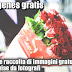 Imágenes gratis | grande raccolta di immagini gratuite condivise da fotografi