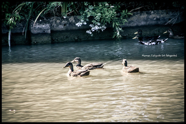 canal midi bezier