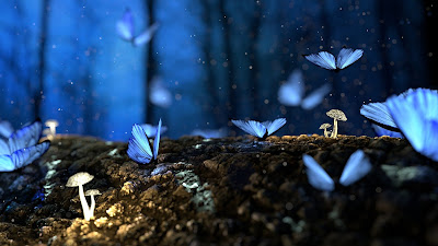 blue butterflies in a woddy brown forest with little white mushrooms