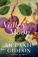 Valley of the Moon by Melanie Gideon