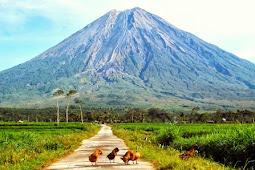 Wisata Gunung Di Jawa Timur