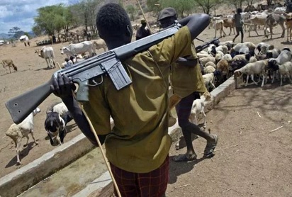 Military to launch operation against violent herdsmen – Defence Spokesman