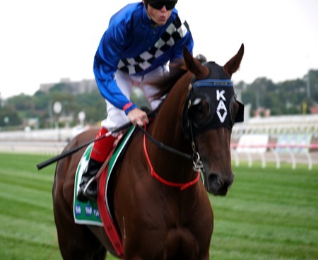 race 5 _egypt 1