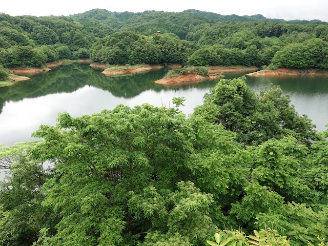 鳥取県道180号伯耆溝口停車場線　鳥取県西伯郡南部町下中谷　緑水湖の眺望