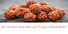 Information About Rudraksha That You Need Yo Know : 27 type of rudraksha : only4us.in