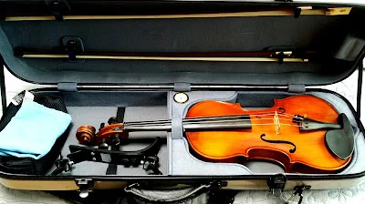 My machine-made violin $35, apart from its case