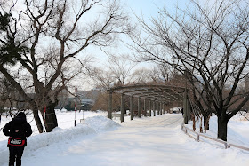 北海道 札幌 中島公園