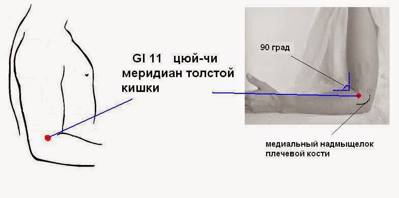 Точка охотно. Цюй-чи точка акупунктуры. Акупунктурная точка Цюй чи. Точка Цюй-чи gi-11. Точка Цюй-чи расположение.