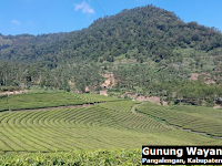 Profil Gunung Wayang (Pangalengan) - Kabupaten Bandung 2198 mdpl