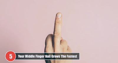 Your Middle Finger Nails Grow Fastest