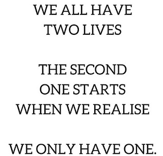 We have two Lives, and the second begins when we realize we only have One !