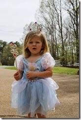 emmyinvites 012