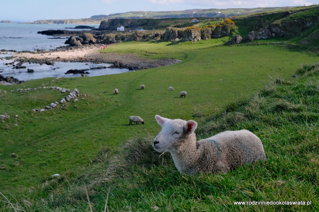 Irlandia-Północna-z-dziećmi-atrakcje