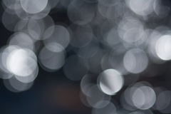 IMG_2824-1