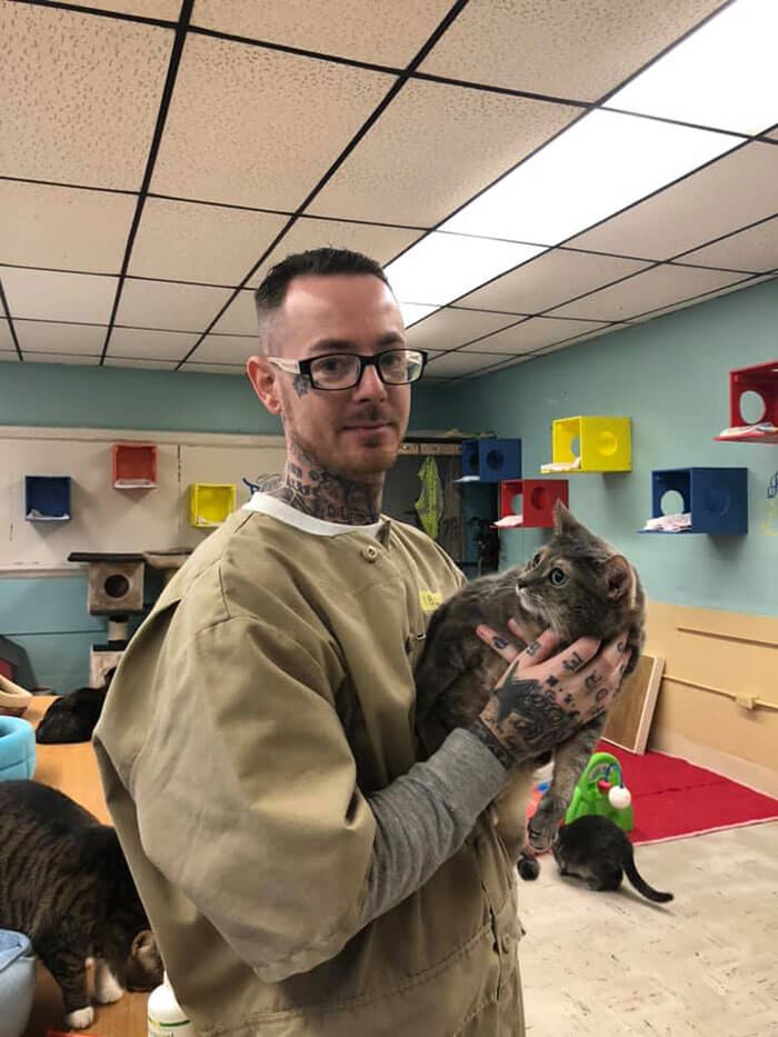 Prison In Indiana Allows Inmates To Take Care Of Shelter Cats