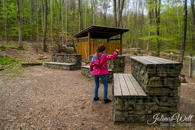 Villa Rustica Binger Wald Waldschule