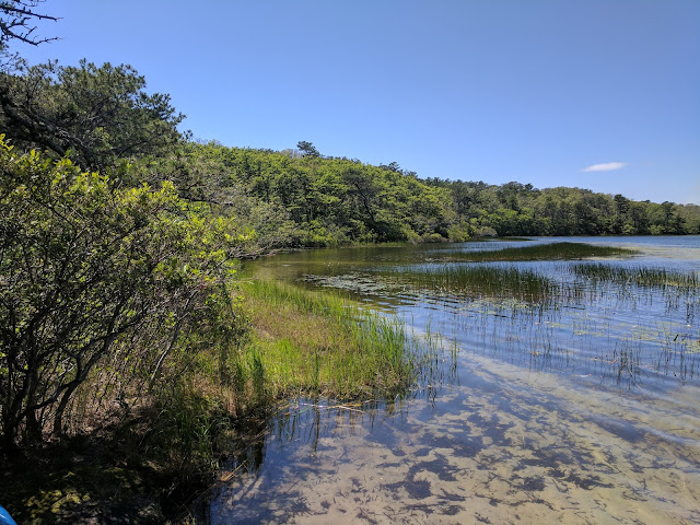 Cape Cod 2017 --How Did I Get Here? My Amazing Genealogy Journey