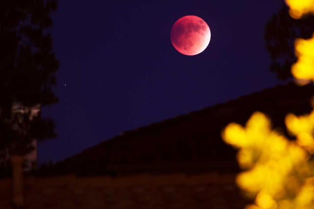 Lunar eclipse and blood moon (Source: Palmia Observatory)