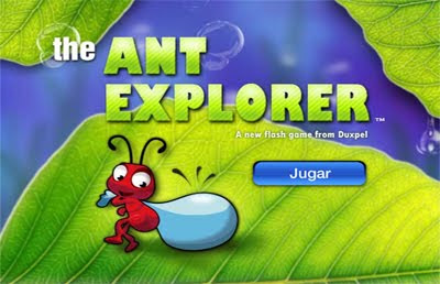 solucion The Ant Explorer guia