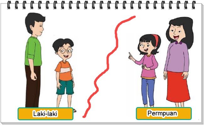 Perbedaan Pubertas laki laki dan perempuan