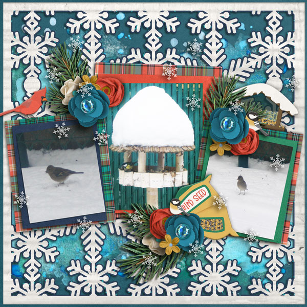 Celebrate Winter Templates