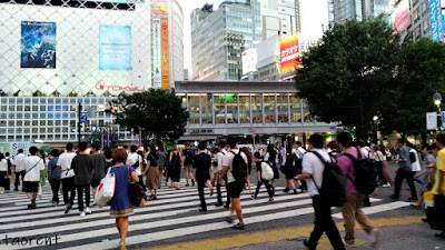 Shibuya crossing shibuya tokyo