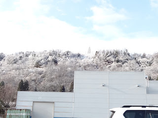 社員駐車場からは、雪化粧した宮野山が望めます