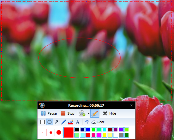 use+of+different+tools+while+recording