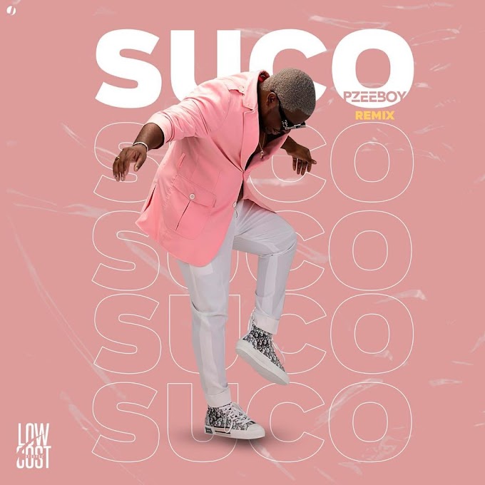 Dj Pzee Boy - Suco (Remix) [Exclusivo 2021] (Download MP3)