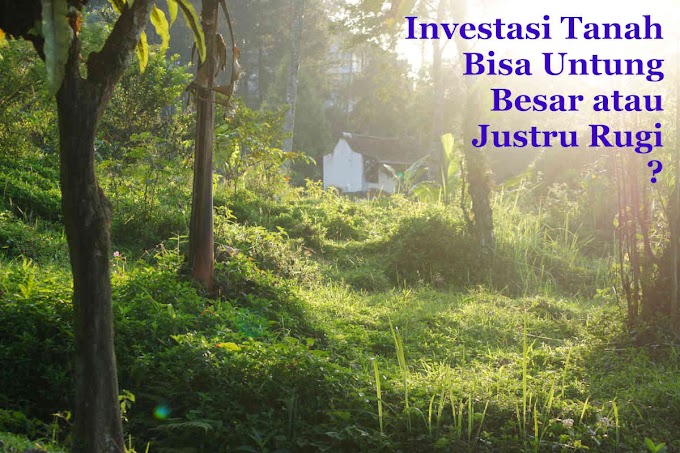 Investasi Tanah, Bisa Untung Besar atau Justru Rugi?