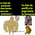 Memes Cheems Hokuto no Ken Goma Peach Cat.