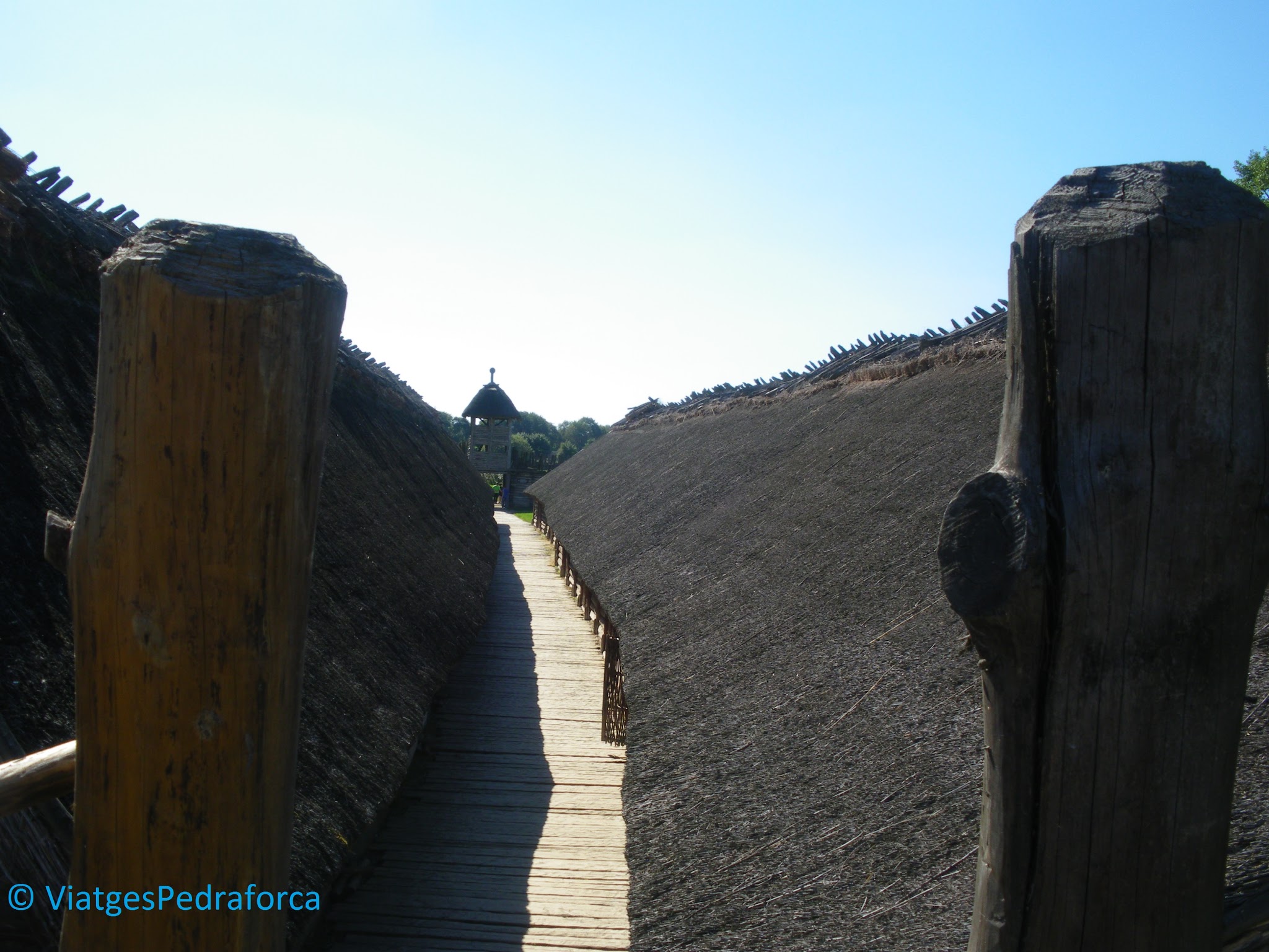 La Pompeia de Polònia, arqueologia, Lausacià