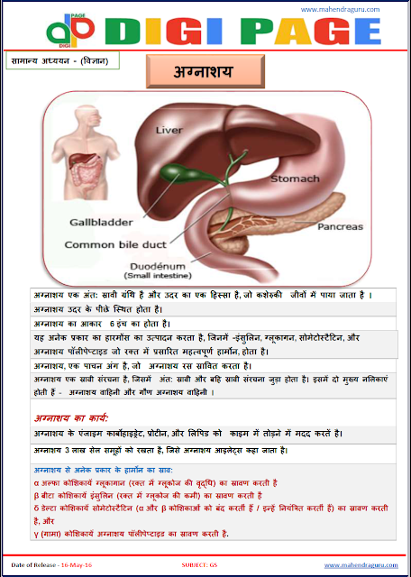 Digi Page - Pancreas