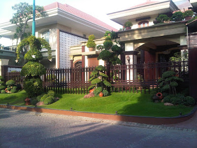 Jenis Bonsai Taman Terbaik