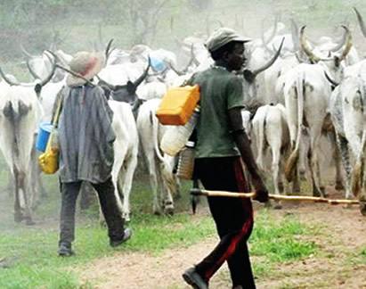 Herdsmen won’t be allowed to violate Oyo anti-grazing law —Olugbon also lends his voice