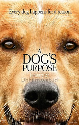 Sinopsis film A Dog's Purpose (2017)