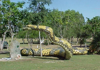 Big snakes