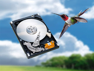hard drive data recover, hard drive data, hard drive, lost data recover, hardware recover, software recovery