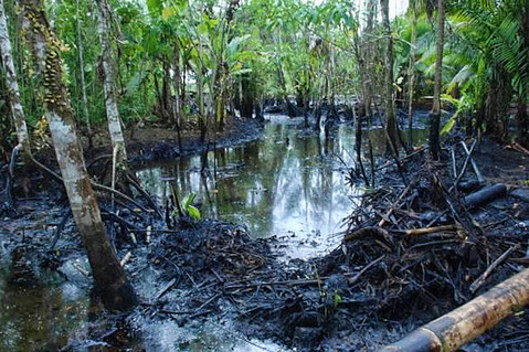 Harold Auria Contaminacion Ambiental En El Ecuador