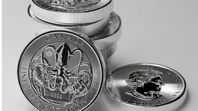 Какво е процесът на сертификация на монети в Грейд Компания?