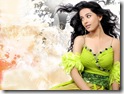 Amrita Rao  hollywoodhothotwallpapersblog (1)